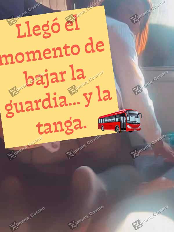 Miniatura 17